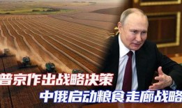 中俄最新爆料消息,揭秘两国合作背后的关键进展与影响