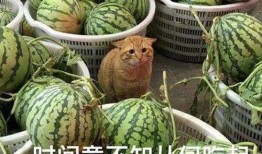 最新吃瓜大爆料,最新吃瓜大爆料，真相令人震惊！