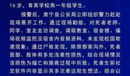 沧州育英中学最新爆料,揭秘校园风云与学子风采