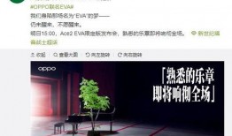 最新最官方爆料,重大事件背后真相全解析