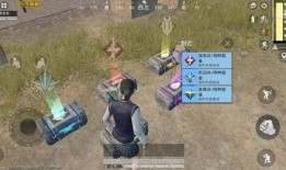 吃鸡新衣服最新爆料,揭秘神秘新衣服爆料，潮流服饰引领游戏时尚风潮