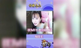 传情小小微博最新爆料,揭秘明星幕后故事，独家爆料引热议！”