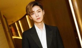 刘昊然鹿晗最新爆料,揭秘娱乐圈背后的故事与真相