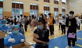 大连海关最新爆料消息新闻,走私团伙覆灭，涉案物品令人咋舌