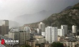 陇南都市爆料事件最新,最新事件追踪，真相即将揭晓