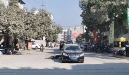 博白最新爆料,揭秘背后惊人真相